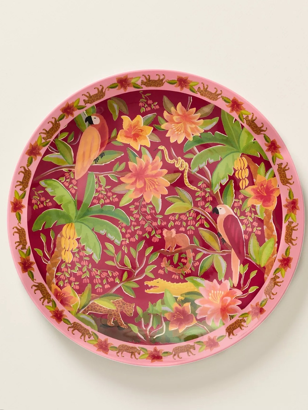 Farm Rio x Anthropologie Melamine Dinner Plate Tropical Red Berry